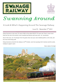 Swanning Around - Issue 91 - 5th November 2022